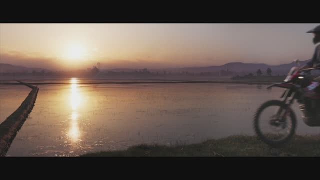 ФЕРМА 25 уборка морковки ч 3