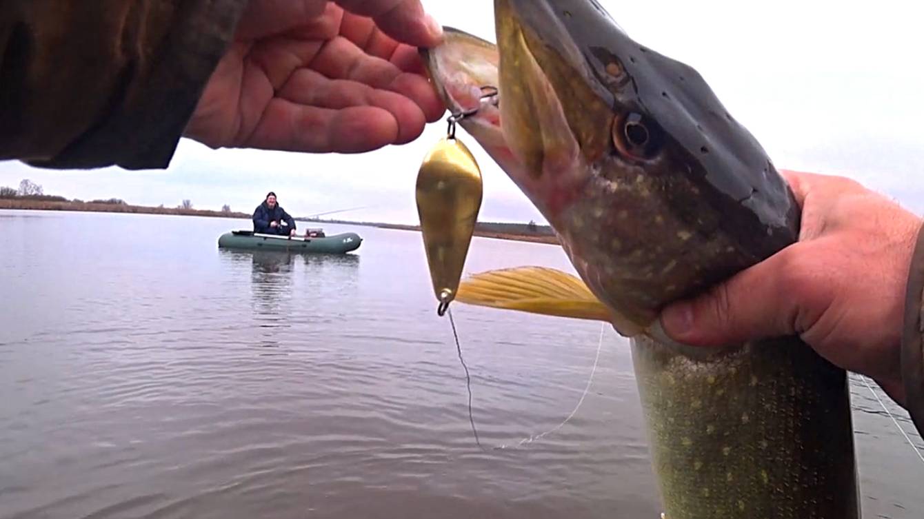 Ловля ЩУКИ на БЛЕСНУ в ноябре! Рыбалка на спиннинг 2025!