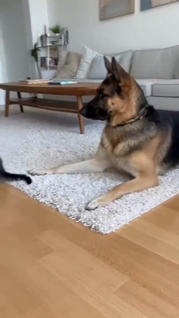 Остановил истерику