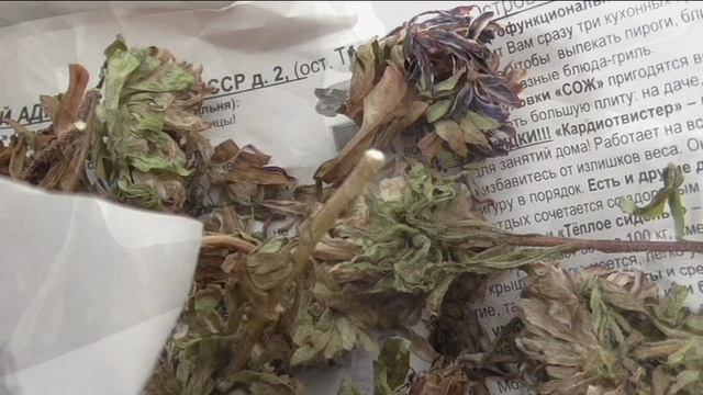 Последние розы и астры