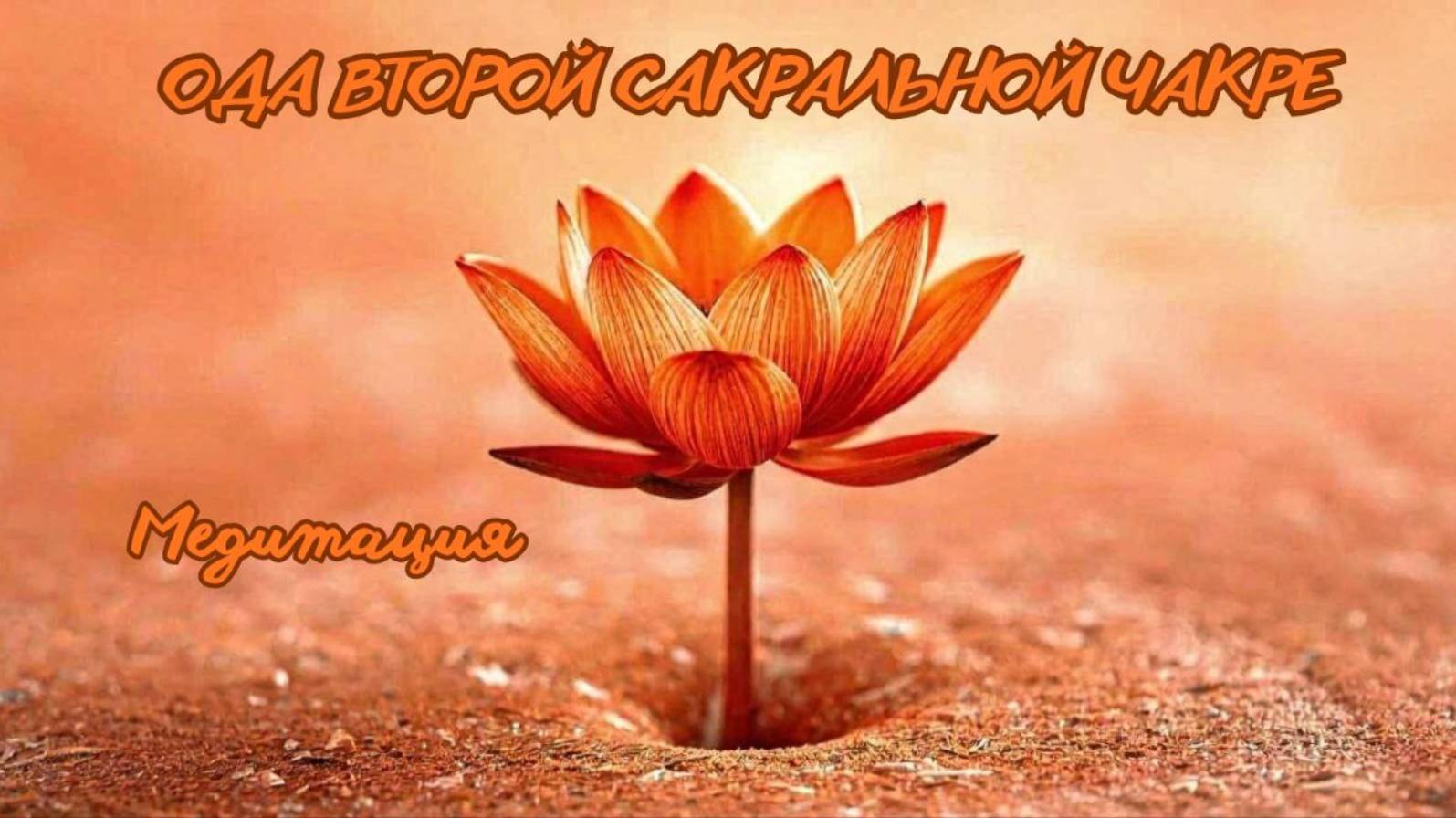 Ода второй чакре.  Медитация. #вселеннаяя , #душа, #чакра, #энергетическаясистема