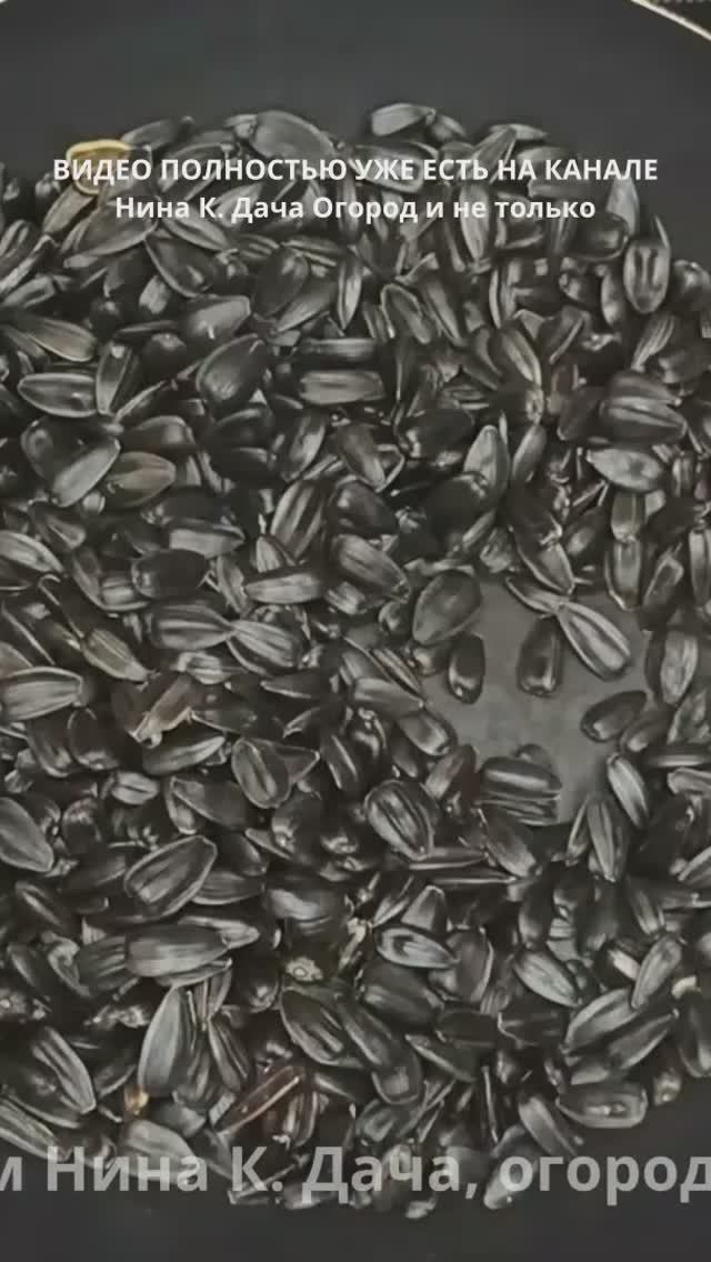 Жарить семечки на сковороде просто #семечки #жаримсемечки #вкусно #рецепт #еда #клип