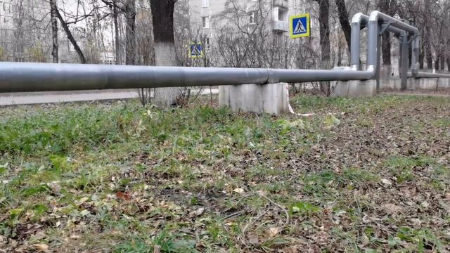 Ребенок пострадал при взрыве замаскированного под банкноту устройства в Красногорске