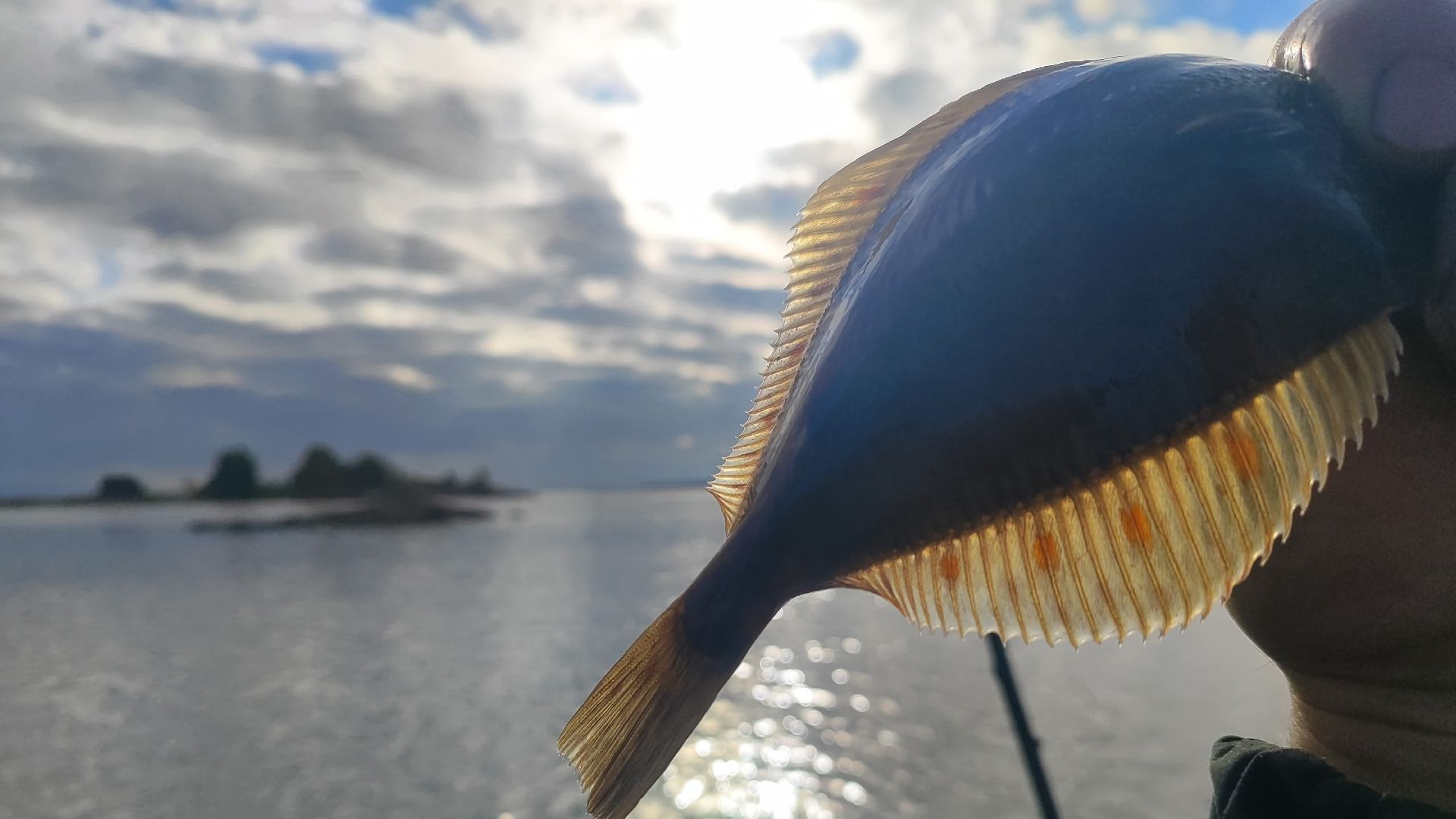 Идущий по воде! Сегодня СпоймаласьКрупная рыба.Пришлось прятать под скалу!