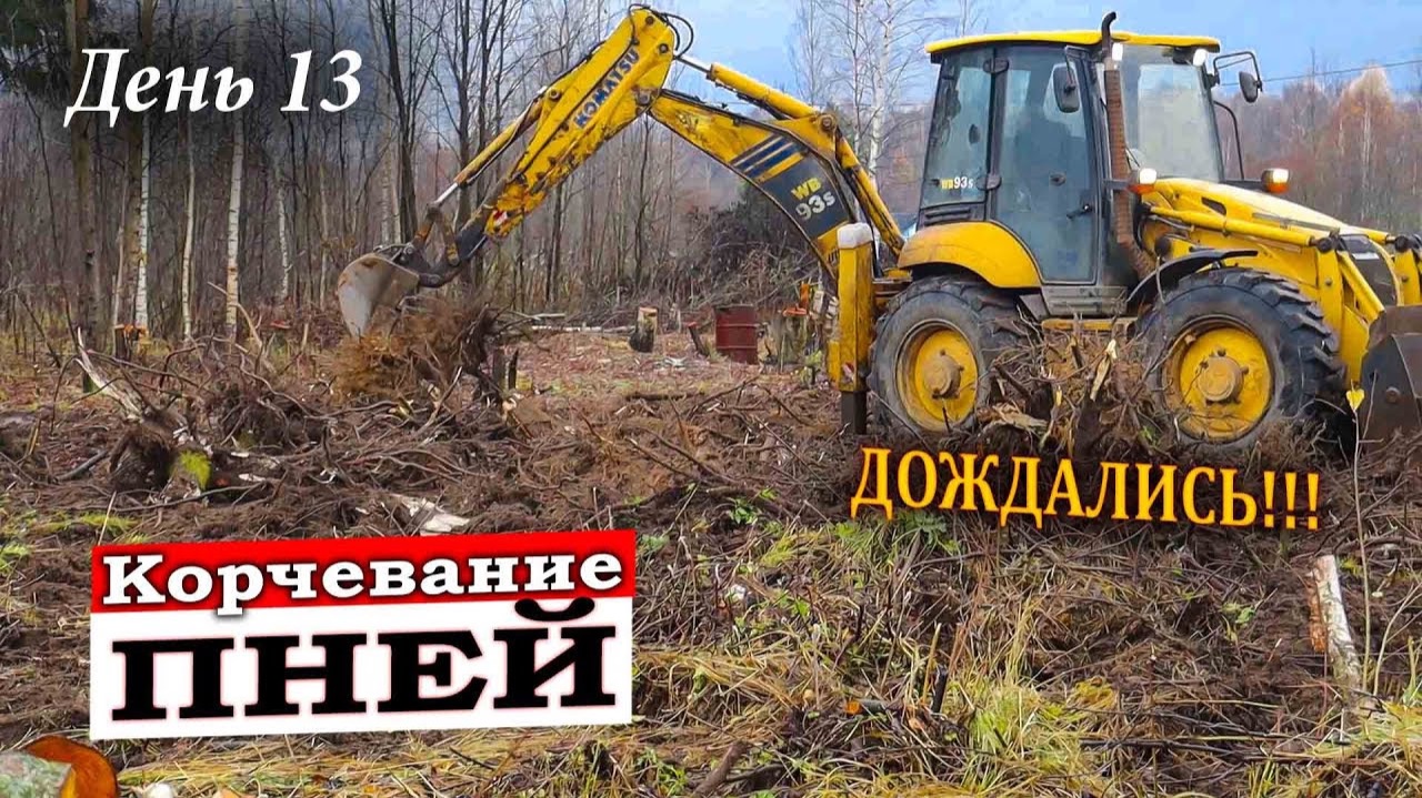 КУПИЛИ заброшенный УЧАСТОК ЗА 10 тысяч 12 серия