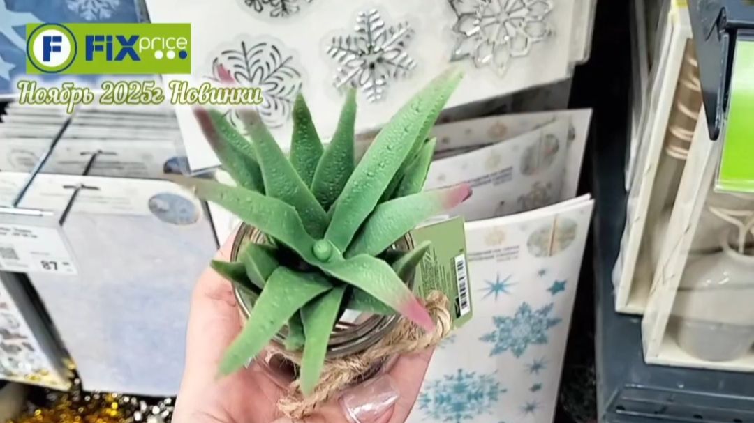 ФИКС ПРАЙС🔥БОЛЬШОЙ ЗАВОЗ НОВИНОК в Ноябре 2025г.