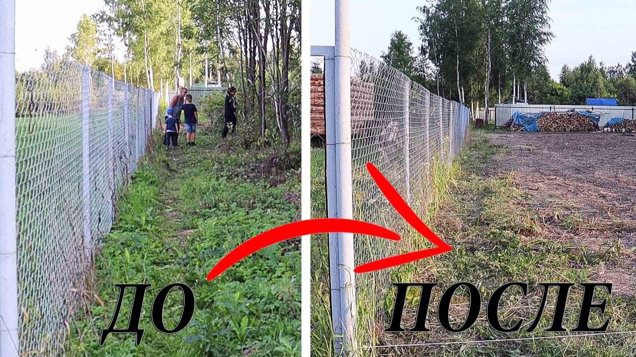 Из ЗАРОСШЕГО Заброшенного ДАЧНОГО УЧАСТКА в КОНФЕТКУ!!!