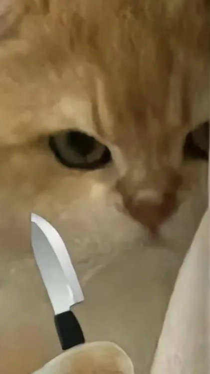 Тонкий момент💋