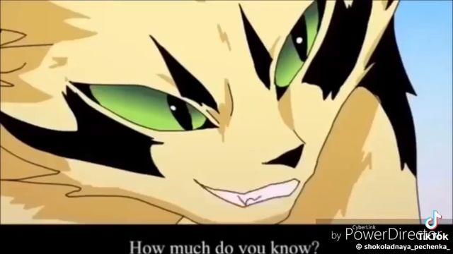 Коты воители❤🔥❤🔥❤🔥