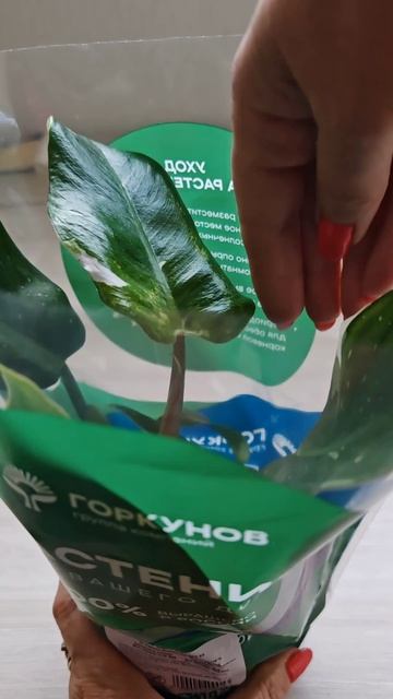 Вот что можно купить в пятерочке, шок контент