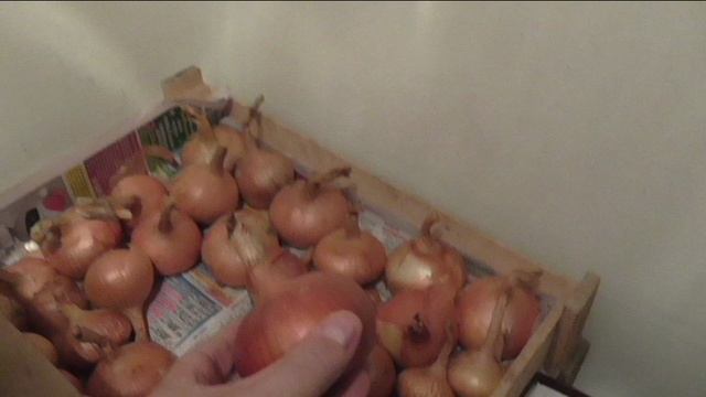 Лук репка на хранении