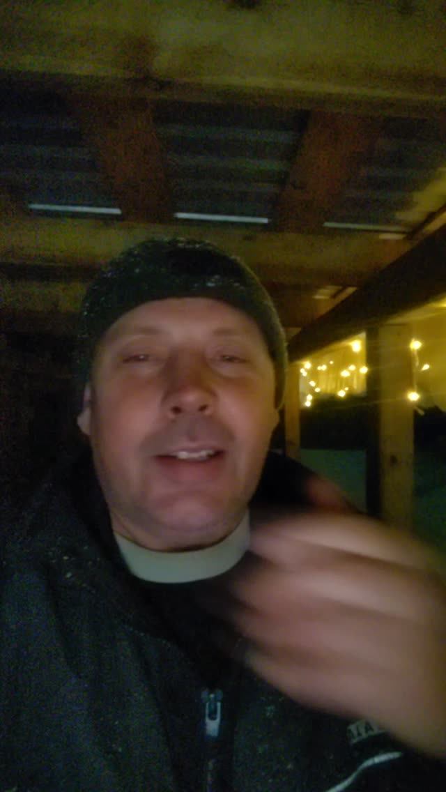 6 дней забоя гусей: а результат всего 23 птицы 💔