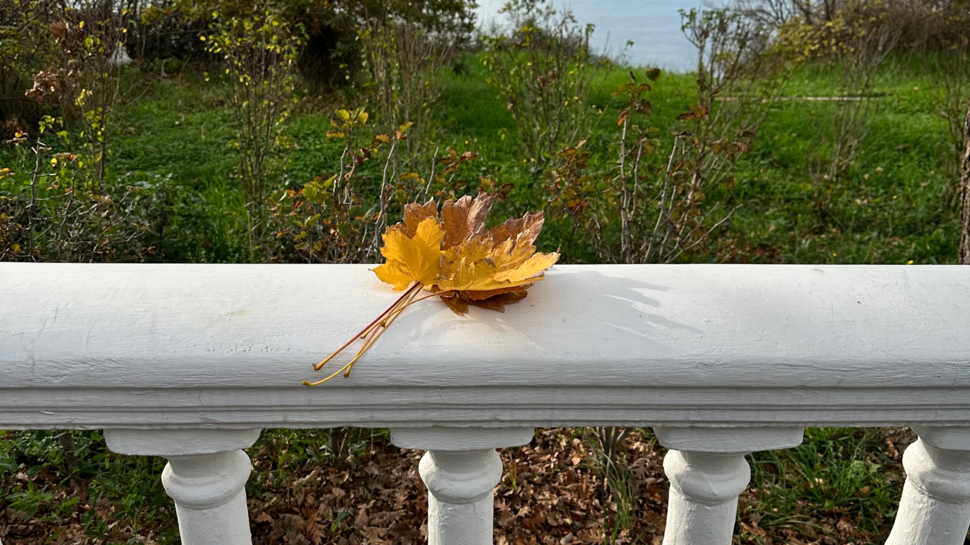 Доброе осеннее утро в Геленджике