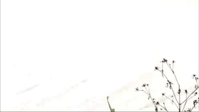 Пена на реке Пекша в Петушинском районе