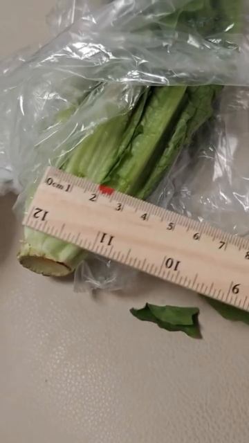 Особо опасный преступник задержан