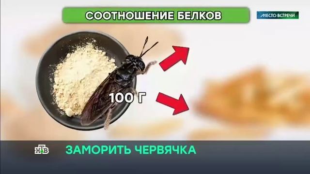 Закон о насекомых в качестве еды