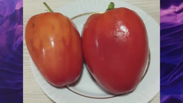 Каталог томатов 2025 года. Часть 16. г. Киров