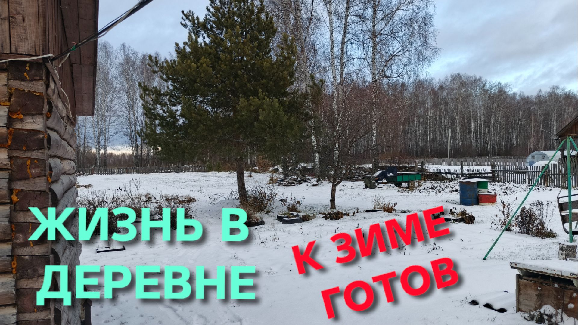 Жизнь в деревне Дрова заготовил бесплатные Куры несутся благодаря мешанке К зиме готов