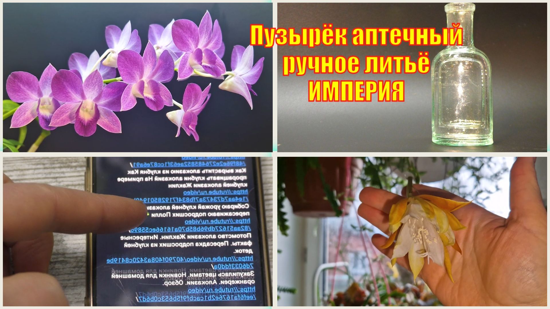 Заварил кашу. ОРХИДЕИ. ВАЖНАЯ ИНФОРМАЦИЯ! Тайна  пузырька раскрыта.