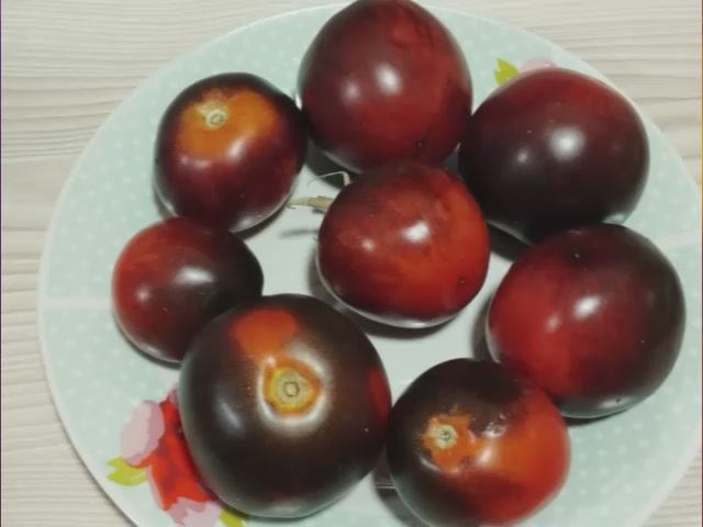 Сладкие, вкусные сорта томатов.