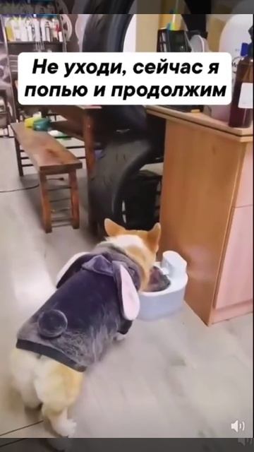 Срочно надо попить водички...