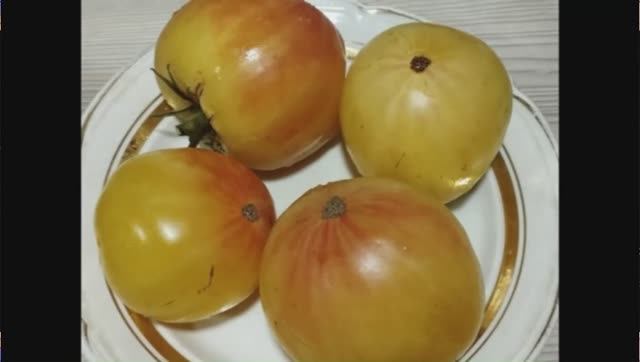 Каталог томатов 2025 года. Часть 11. г. Киров