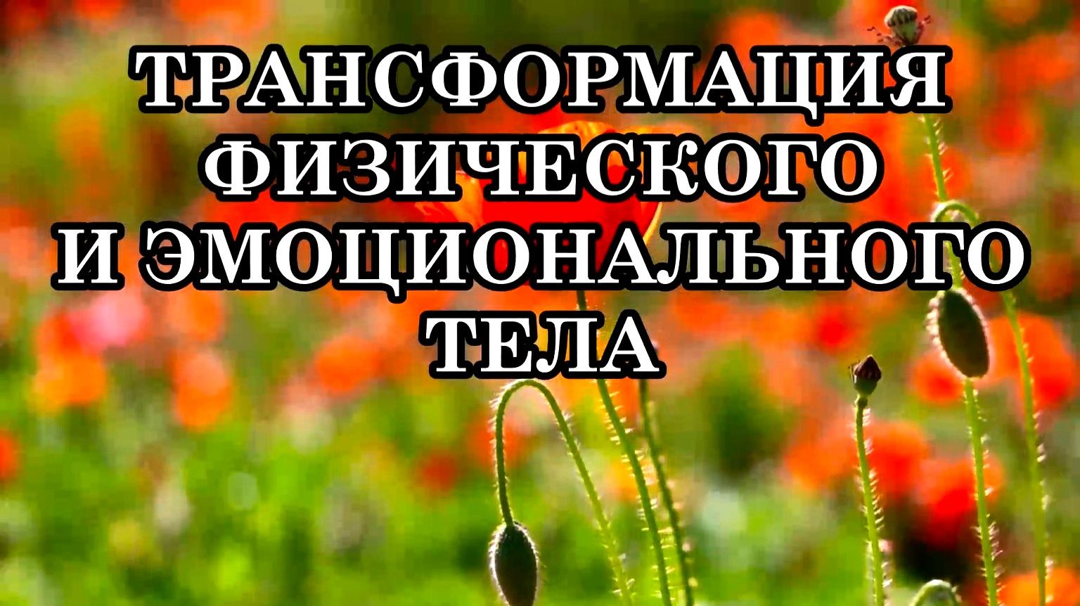 ТРАНСФОРМАЦИЯ ФИЗИЧЕСКОГО И ЭМОЦИОНАЛЬНОГО ТЕЛА. КАК ОБЛЕГЧИТЬ ДИСКОМФОРТ