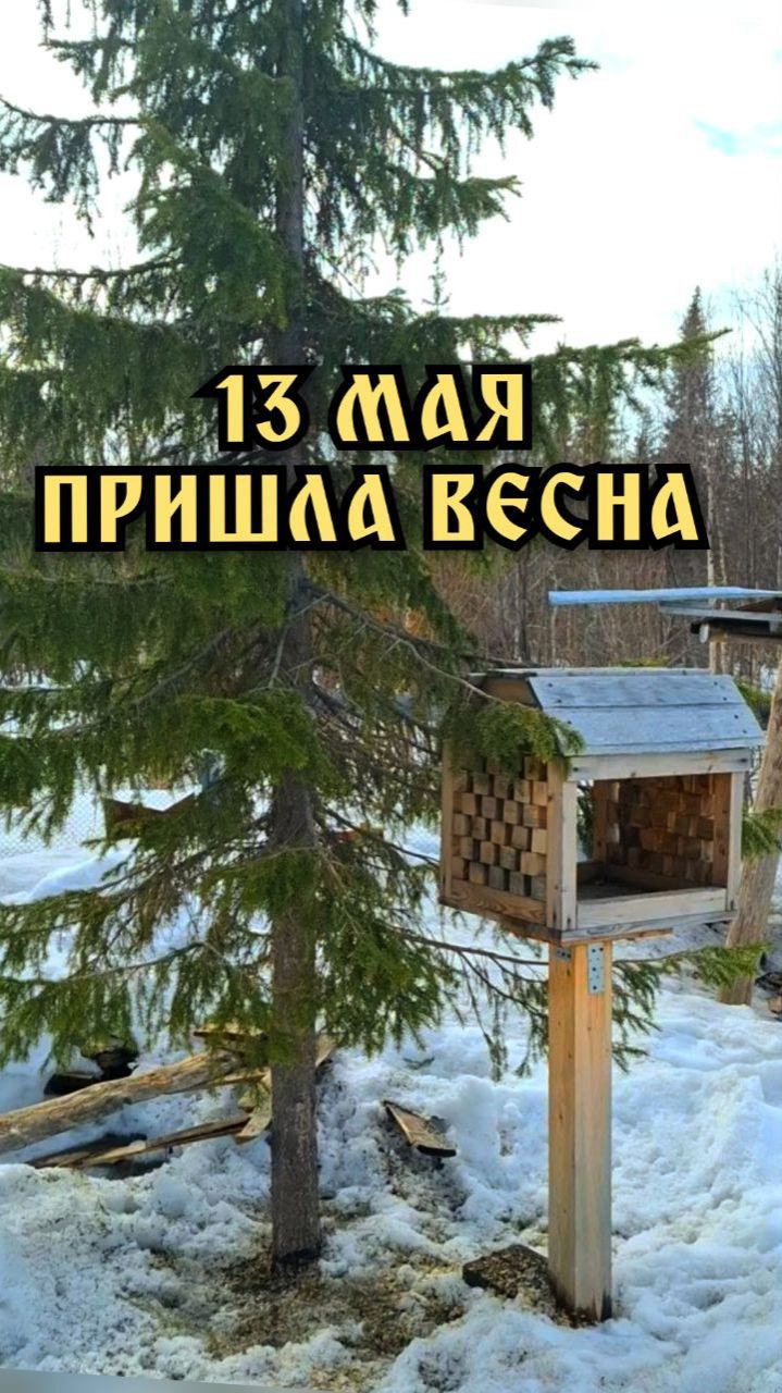 Пришла весна! На дворе 13 мая.