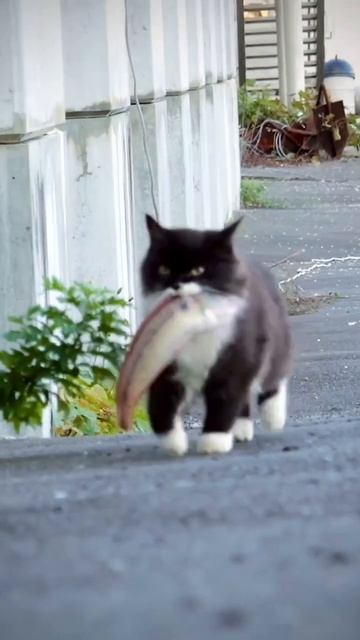 Рыбалка удалась!