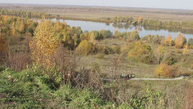 ПРОГУЛКИ: ОСЕННЯЯ РЯЗАНЬ | Константиновское подгорье и Светка Соколова | ГРИБЫ С ГЛАЗАМИ | 2025
