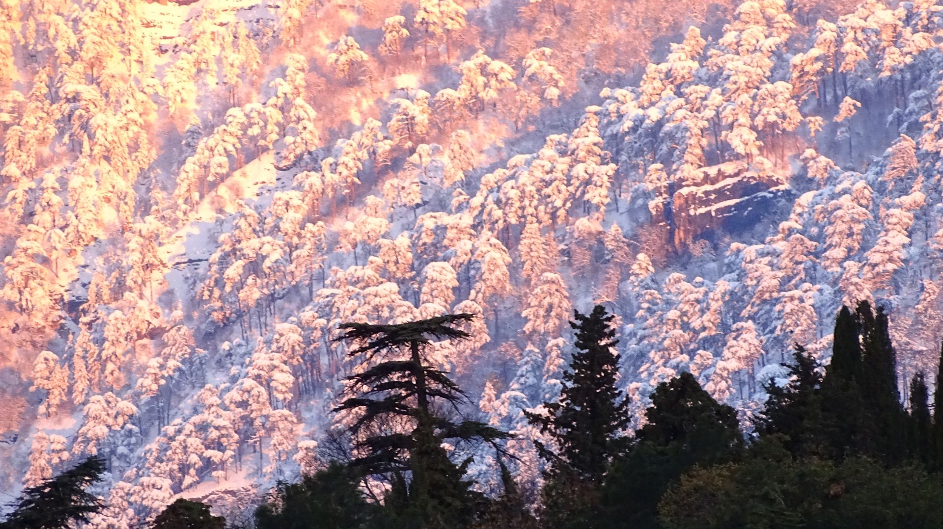 Ялтинский снежок. Маршрут Доллосы Учкош.