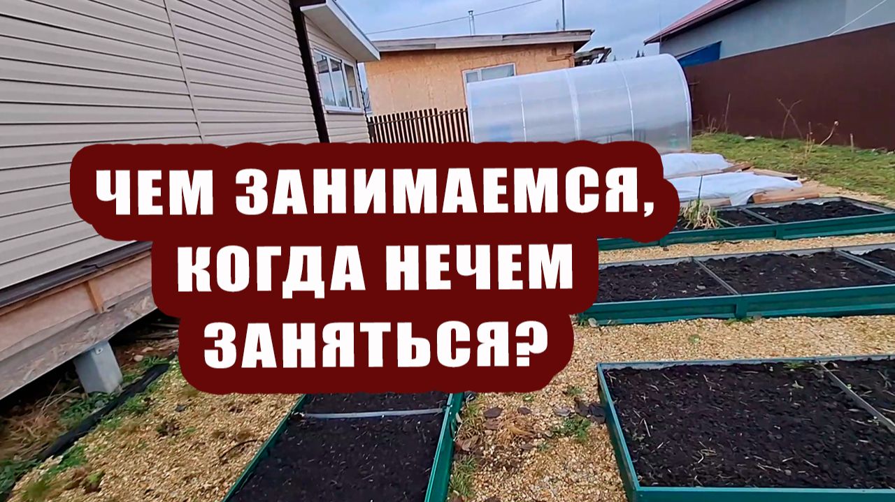 Чем занимаемся, когда нечем заняться? 👇