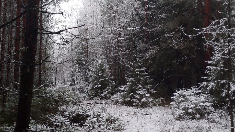 15-11-2025💥Влог💥суббота 📖комментарии