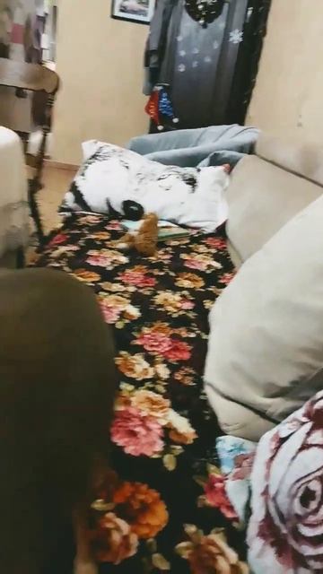 Лора, дай игрушку