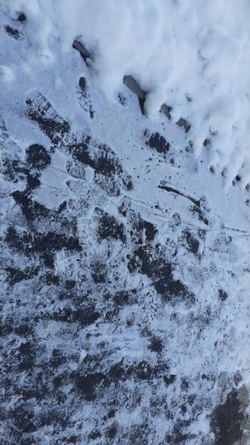 Тишка на улице.