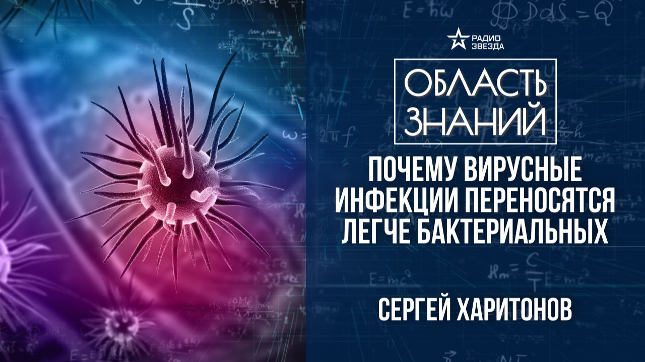 Вирусы и бактерии – в чём разница? Лекция молекулярного биолога Сергея Харитонова