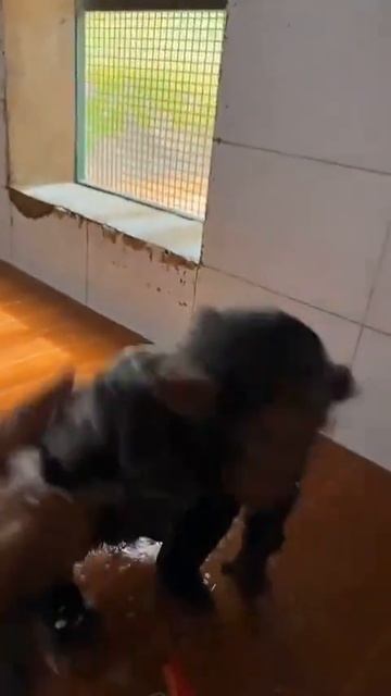 Бро теперь чистый