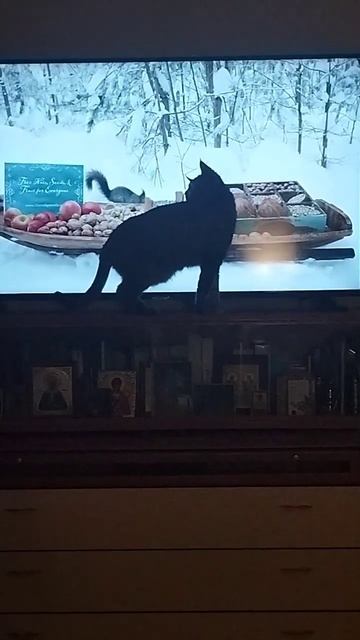 охота на птичек