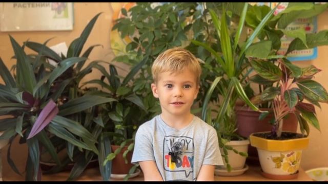 Севастополь Сентябрь Можно ли прожить без Родины