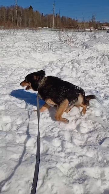 Что хорошего видел этот мальчуган в своей короткой жизни?
