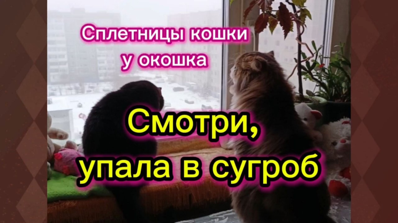 КОШКИ С ОЗВУЧКОЙ.