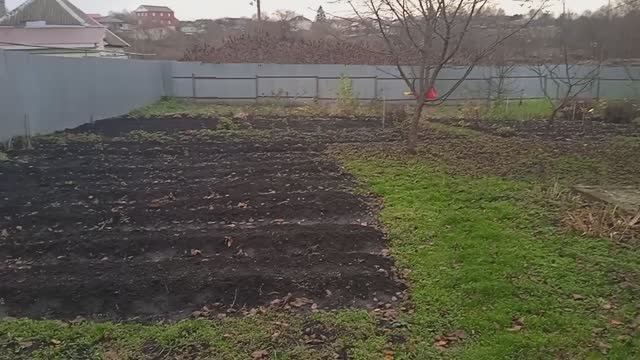 14.11.25г.  Небольшой Обзор ОГОРОДА!!!   Холодно!!! Сыро!!!  Середина НОЯБРЯ!!!