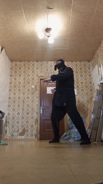 Very Nordic Ninja: 15 November Wonder IV (15.11.2025) Крайне Северный Ниндзя: 15 Ноябрьское Чудо IV