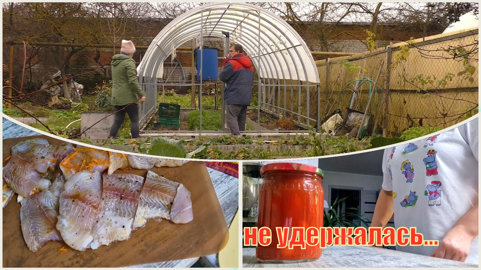Сняли чехол с теплицы. Пангасиус запечённый на морковной подушке. Дегустирую помидоры в своём соку