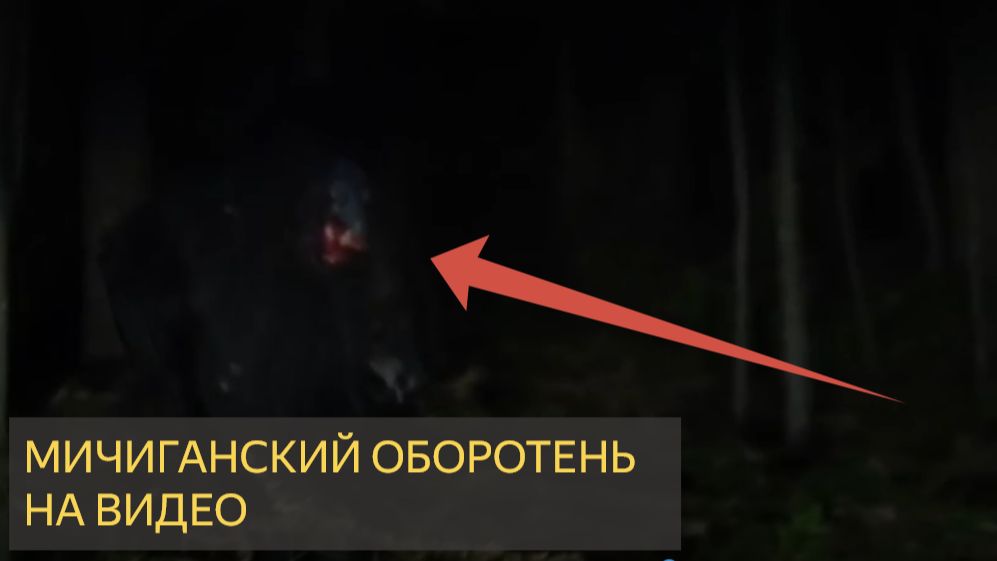 Оборотень найден. Видеозапись супружеской пары из Мичигана шокировала следователей