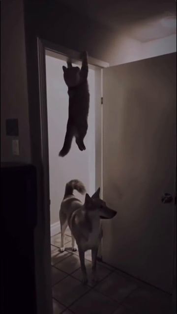 Чувствует ауру