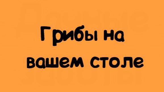 Mushrooms on your table 4