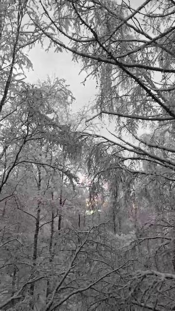 А наутро выпал снег...  Баллада о первом снеге  https://stihi.ru/2013/11/18/5408