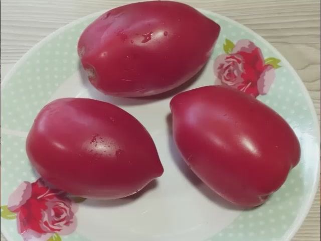 Каталог томатов - Новинок 2025 года. Часть 5. г. Киров