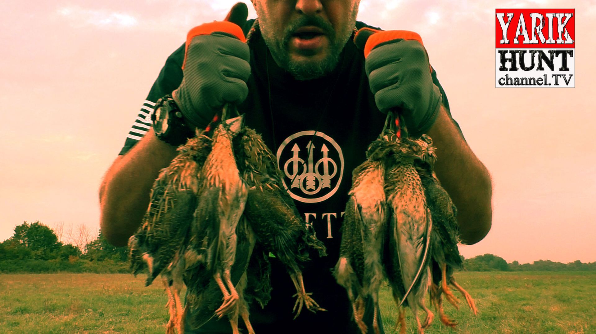 ОХОТА НА ПЕРЕПЕЛА 2021 С СОБАКАМИ В АДЫГЕЕ